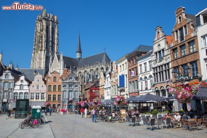 Immagine La piazza principale di Mechelen, Grote Markt, con la cattedrale gotica - © 153662663 / Shutterstock.com