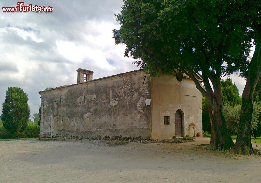 Immagine La Pieve di Santa Maria in Carpino vicino a Carpenedolo (Lombardia) - © Massimo Telò - CC BY-SA 3.0 - Wikipedia