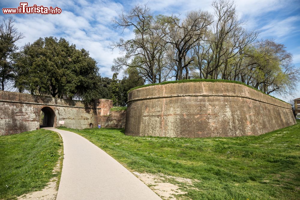 Immagine La pista ciclabile che costeggia le mura della città di Lucca, Toscana.