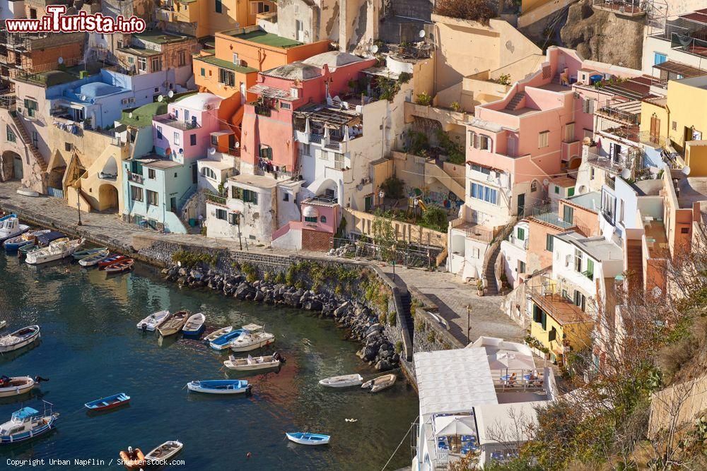 Immagine La pittoresca Marina Corricella dall'alto, isola di Procida, Campania. Questo famoso villaggio di pescatori è un dedalo di archi, cupole, gradinate, scale e facciate dipinte © Urban Napflin / Shutterstock.com