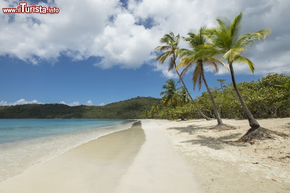Immagine La pittoresca spiaggia della baia di Magens a St. Thomas, Isole Vergini Americane, Mar dei Caraibi.