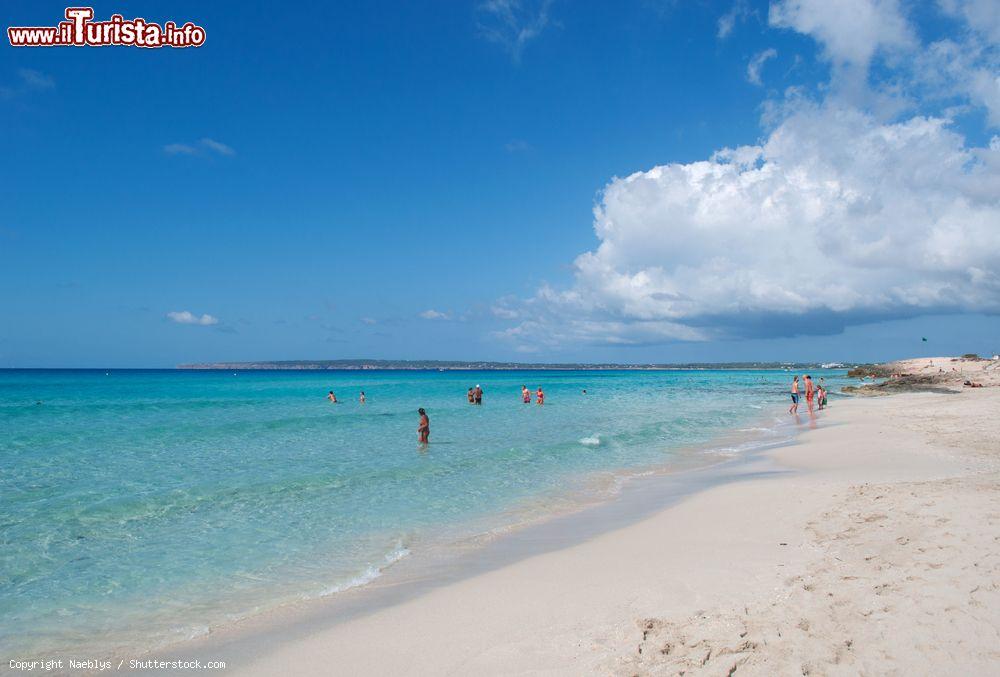 Immagine La Platja de Migjorn a Formentera: la spiaggia del mezzogiorno è la più lunga dell'isola - © Naeblys / Shutterstock.com