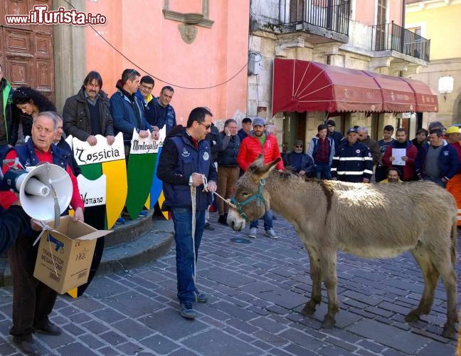 Immagine La preparazione del Palio dei Somari di Amatrice - © Pro loco di Amatrice