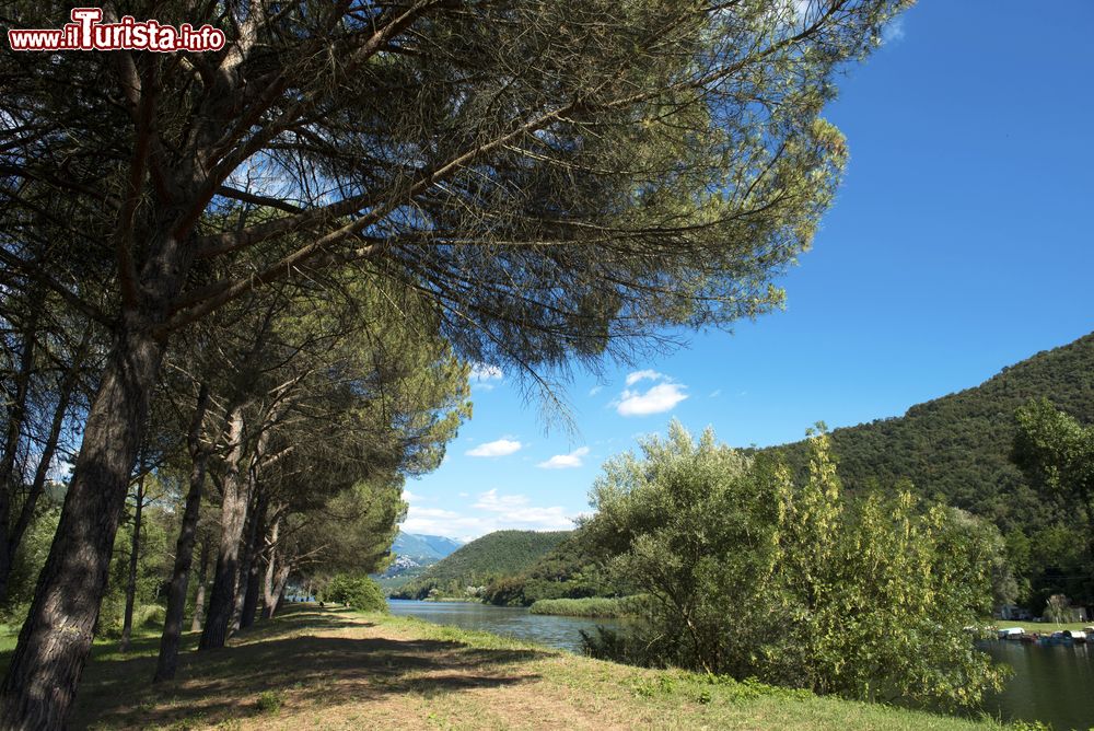 Immagine Dei pini sulla riva del lago di Piediluco in provincia di Terni, Umbria