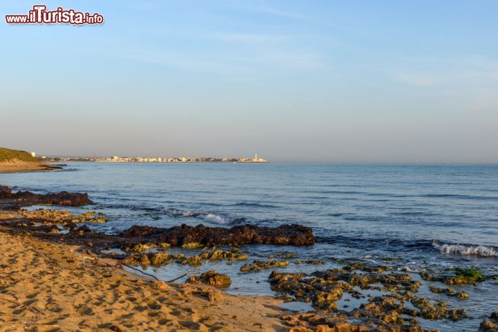 Immagine La cosiddetta riviera dei Trulli nei pressi di Torre Canne di Fasano, Puglia