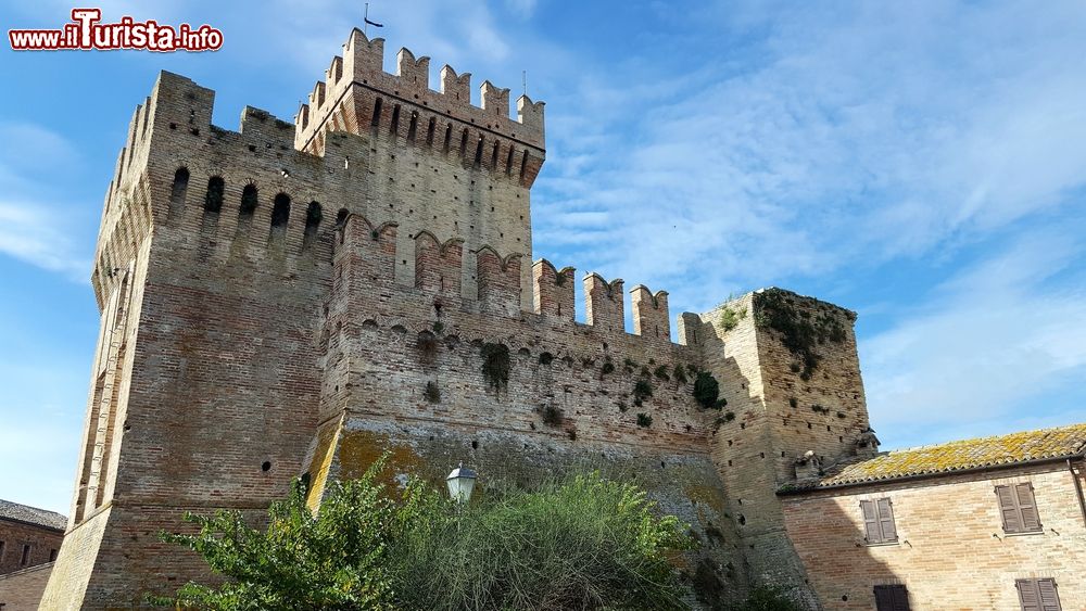 Le foto di cosa vedere e visitare a Offagna