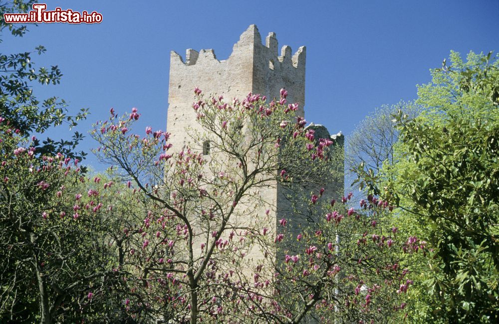 Immagine La Rocca e il Mastio di Reggiolo fotografati in Primavera, Emilia-Romagna - © Claudio Magnani, CC BY-SA 4.0, Wikipedia