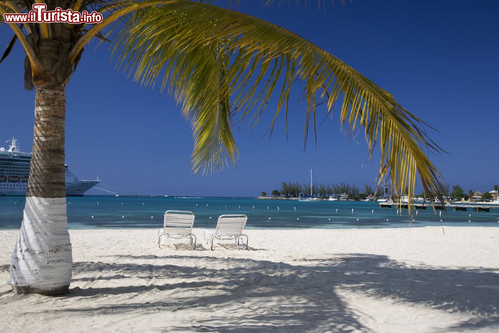 Immagine La sabbia bianca di una spiaggia di Ocho Rios, Giamaica. Per rilassarsi all'ombra di una palma si può scegliere una delle tante spiagge sabbiose della città.