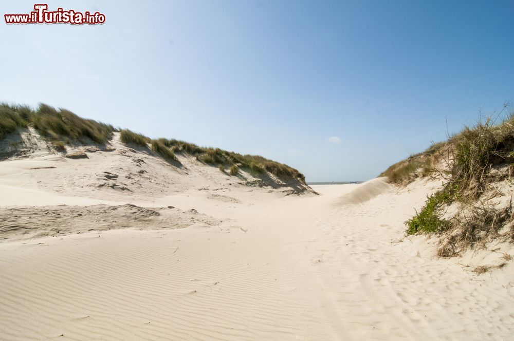 Immagine La sabbia di una spiaggia nel territorio di Zeeland, Paesi Bassi.