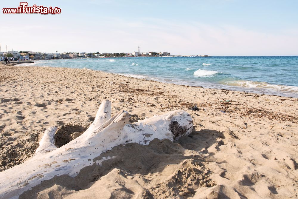 Immagine La sabbia dorata di una spiaggia vicino a Savelletri in Puglia
