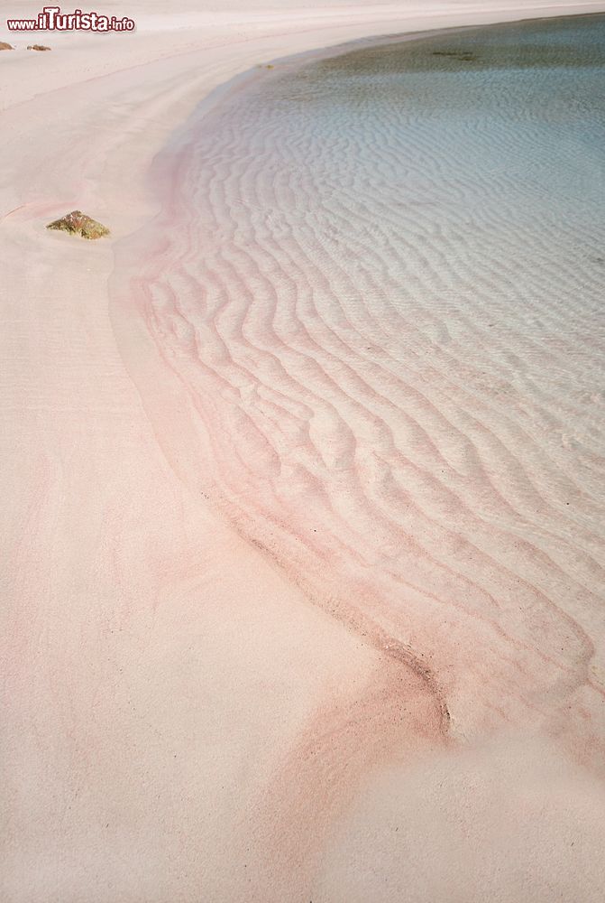 Immagine La sabbia rosa di Budelli, arcipelago de La Maddalena (Sardegna). Il particolare colore rosato si deve a frammenti sminuzzati di un microrganismo chiamato Miniacina miniacea.