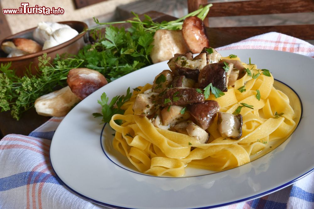 Immagine Il porcino è il protagonista della Sagra dei Funghi a Cusano Mutri in Campania