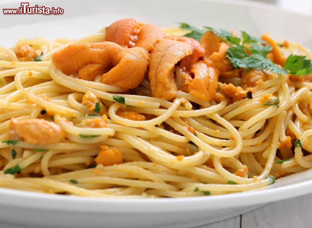 Immagine La Sagra dei ricci di mare a Buggerru in Sardegna: i famosi spaghetti con i ricci