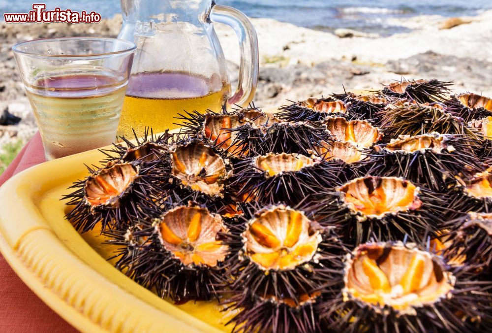 Immagine La Sagra del Riccio di Mare ad Alghero in Sardegna.