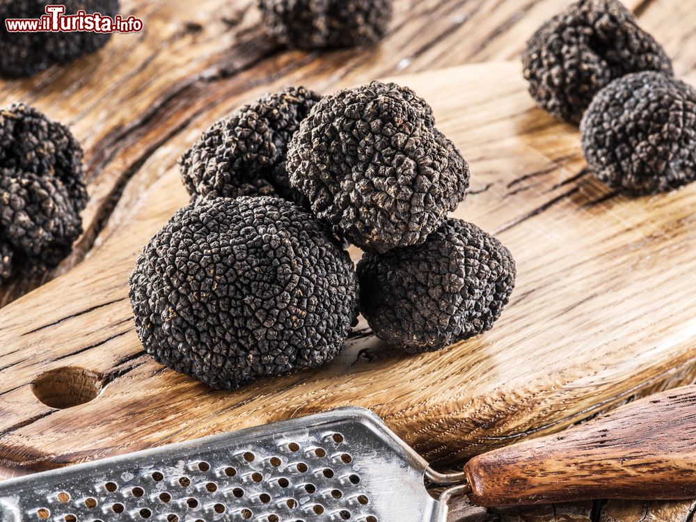 Immagine La sagra del tartufo nero a San Pietro Avellana in Molise