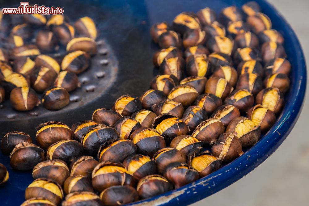 Sagra delle Castagne Massino Visconti