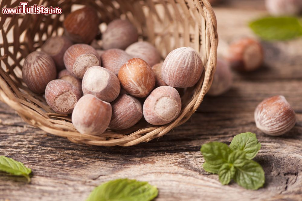 Immagine La sagra della nocciola a Cortemilia in Piemonte: la cittadina della Provincia di Cuneo è chiamata la Capitale della Nocciola