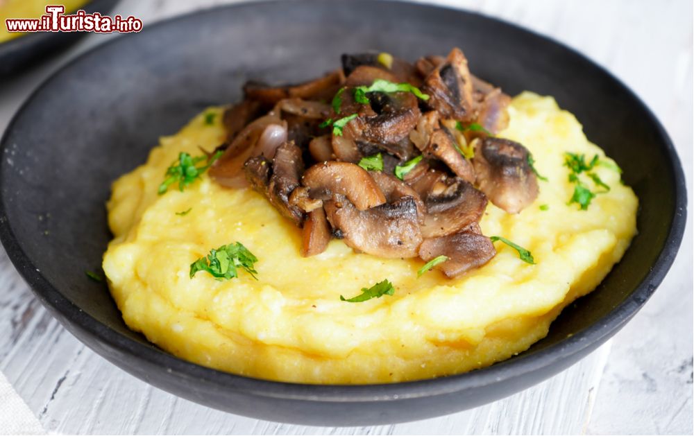 Immagine La sagra della polenta con i funghi di San Giuliano Terme in Toscana