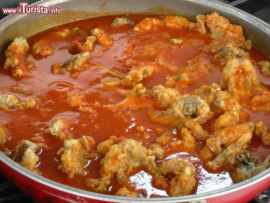 Sagra della Rana Bondeno