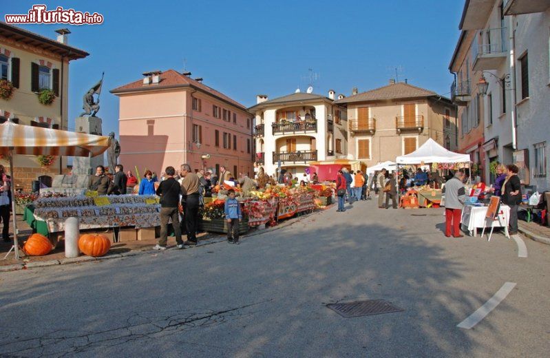 Festa della Zucca Agra