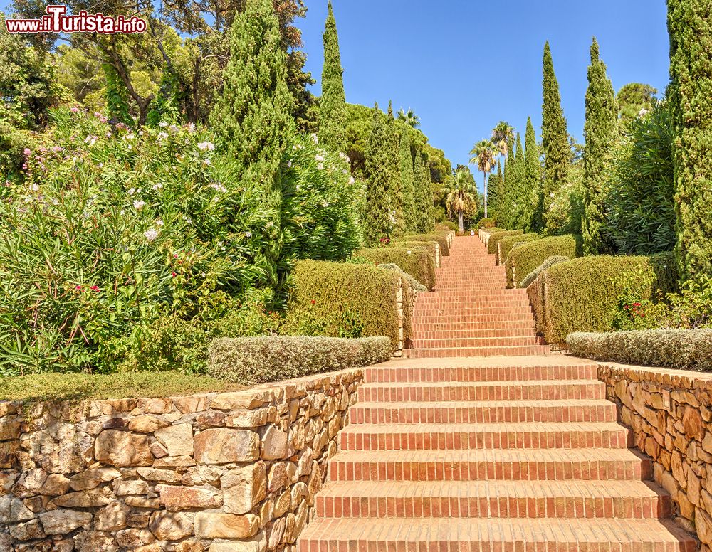 Immagine La scalinata nei giardini botanici di Mar i Murtra a Blanes, Costa Brava, Spagna. Considerato il più importante parco del Mediterraneo nel suo genere, si estende per 16 ettari e accoglie cactus e vegetazione mediterranea di ogni specie.