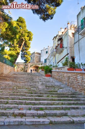 Immagine La scalinata nel centro storico di Conversano, Puglia - © Mi.Ti. / Shutterstock.com