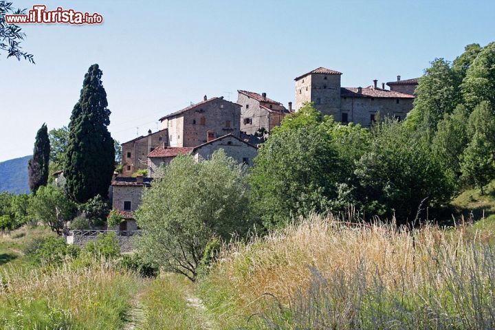 Immagine La Scola di Vimignano è uno splendido borgo nel territorio Comunale di Grizzana Morandi  - © Carlo Pelagalli / Wikipedia