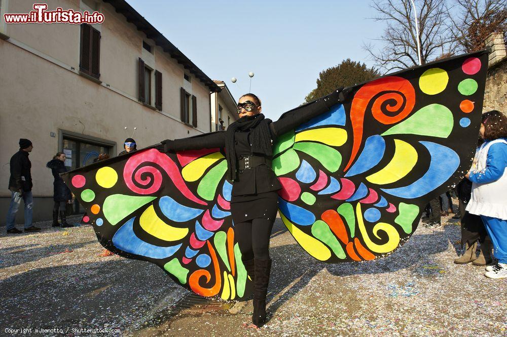 Immagine La sfiltata del Carnavale di Erbusco in Lombardia, evento che caratterizza i giorni compresi tra l'ultima domenica di carnevale e la prima di quaresima  - © m.bonotto / Shutterstock.com