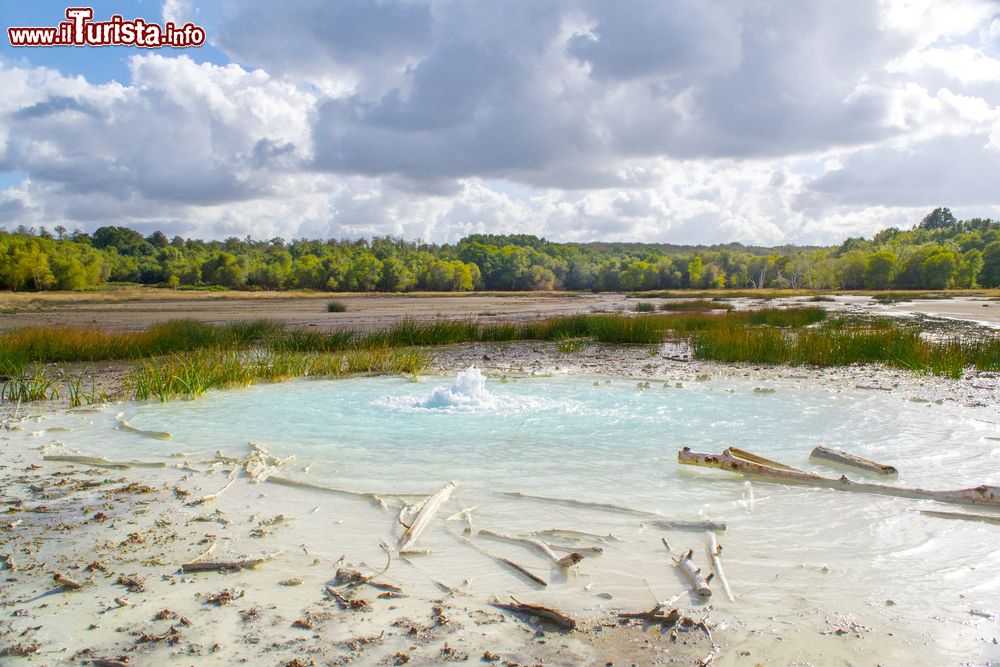 Le foto di cosa vedere e visitare a Manziana