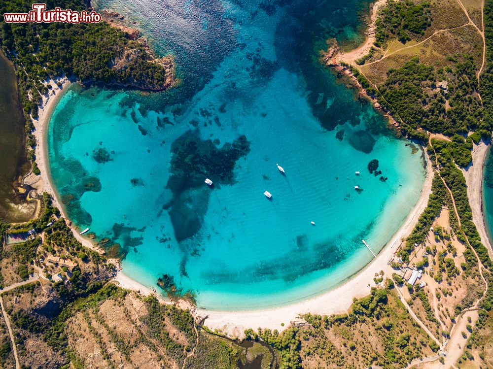 Immagine La spettacolare spiaggia della Rondinara in Corsica. Situato fra Porto Vecchio e Bonifacio, questo tratto di litorale è uno dei più belli di tutta l'isola.
