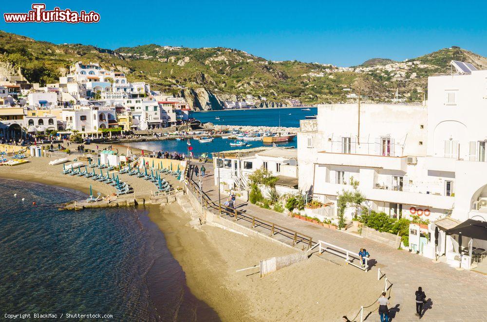 Immagine La Spiaggia a Sant'Angelo d'ischia in Campania - © BlackMac / Shutterstock.com