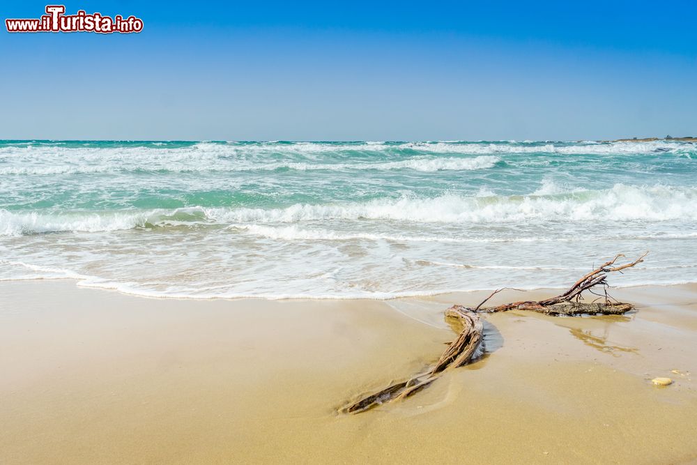 Immagine La spiaggia adriatica di Frigole in Puglia, in una giornata di tramontana