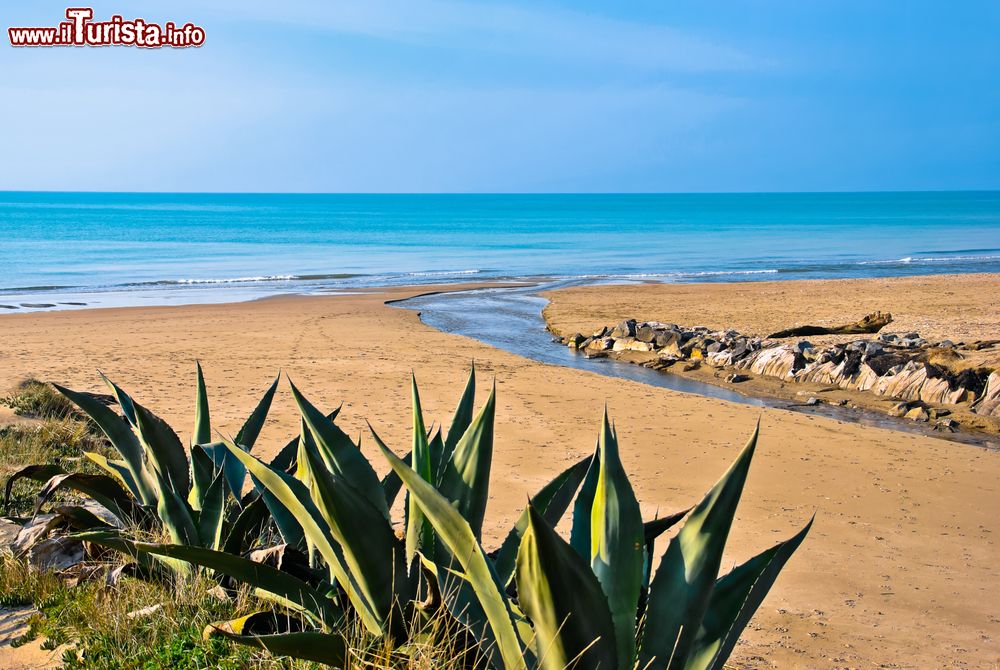 Immagine La spiaggia al confine tra Marina di Ardea e Torvaianica nel Lazio