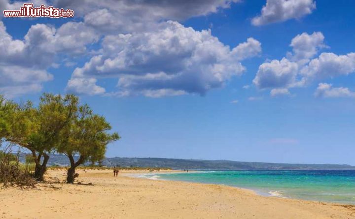 Immagine La spiaggia che collega Torre Pali con Pescoluse in Puglia è famosa per la trasparenza delle sue acque che può rivaleggiare tranquillamente con quella delle isole caraibiche o degli atolli delle Maldive
