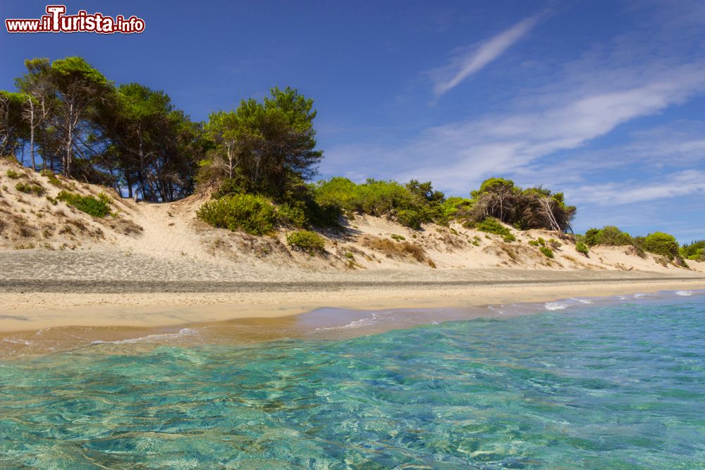 Immagine La spiaggia dei Laghi Alimini vicino ad Otranto in Puglia