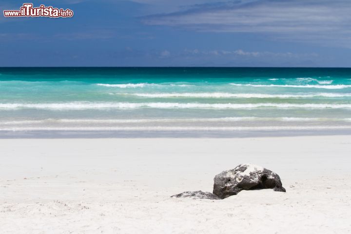 Immagine La gigantesca spiaggia di Tortuga Bay, sull'isola di Santa Cruz, che i visitatori possono raggiungere anche a piedi con una passeggiata di 20 minuti dopo aver firmato l'ingresso (e poi l'uscita) al Galapagos Park Service Office. Vietata ai bagnanti (che possono però nuotare in una altrettanto suggestiva baia poco lontana ma separata) per garantire la conservazione dell'habitat naturale, ospita la grande tartaruga delle Galapagos dal cui termine spagnolo "galapago" deriva il nome dell'arcipelago - © Natursports / Shutterstock.com