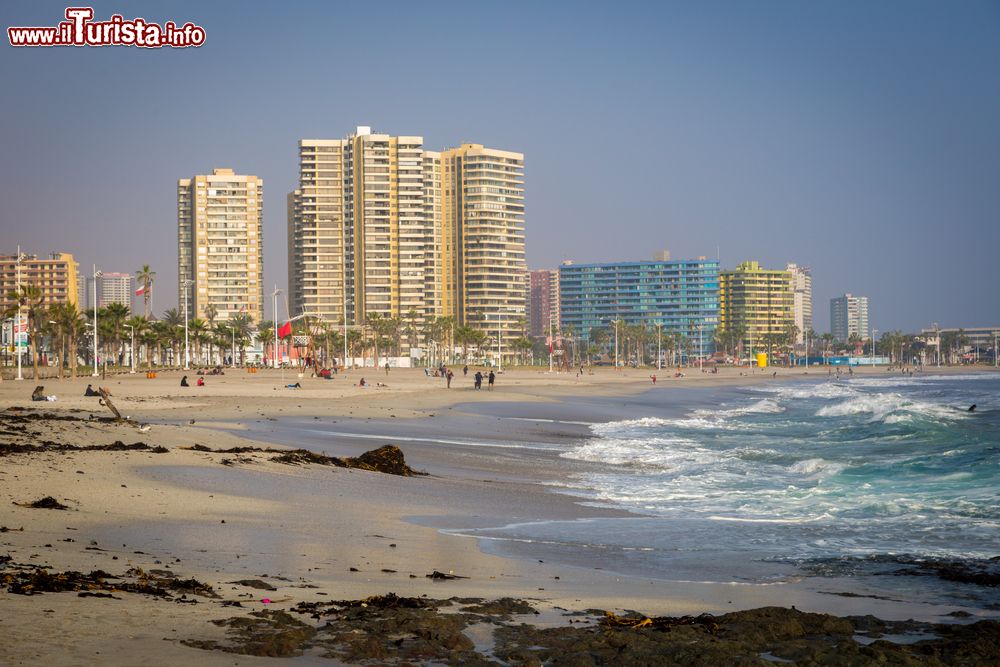 Immagine La spiaggia di Arica in una giornata di sole, nord del Cile. Sullo sfondo, alti palazzi della città.
