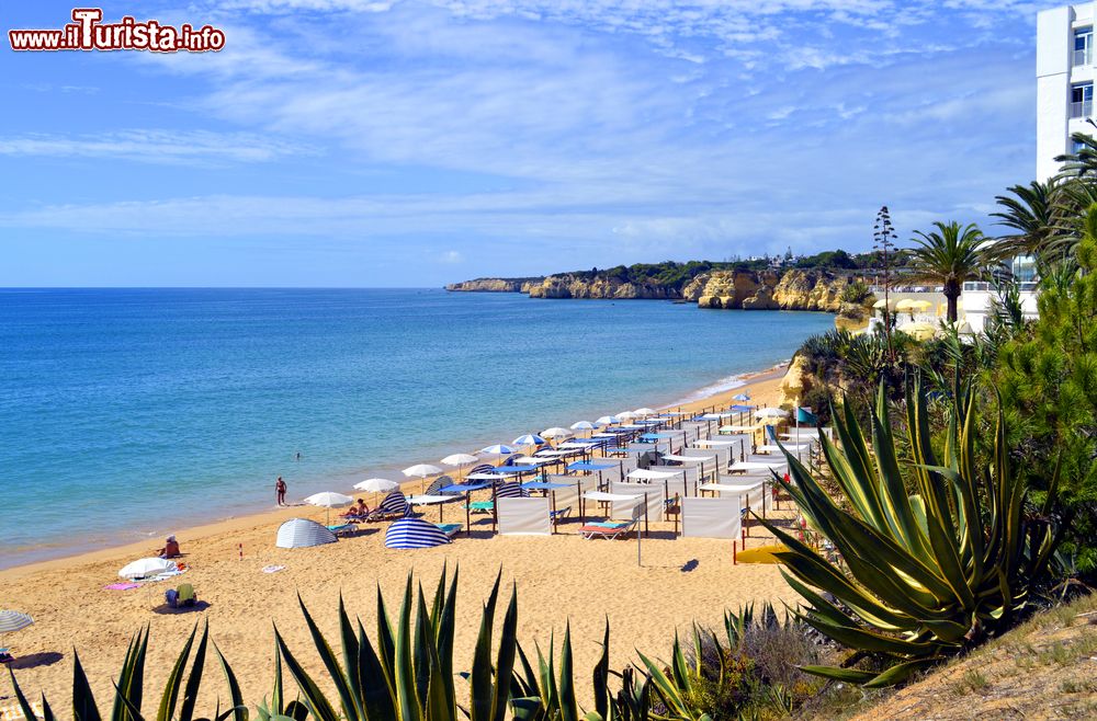 Immagine La spiaggia di Armacao de Pera con sdraio e ombrelloni, Portogallo. Questa cittadina ospita alcune delle spiagge più belle di tutto l'Algarve.