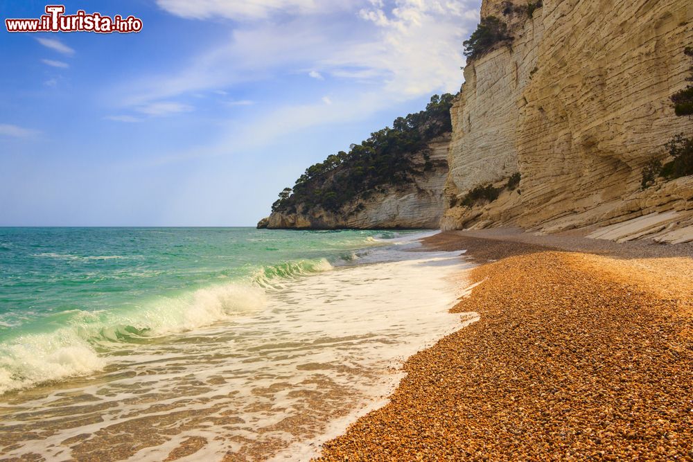 Immagine La spiaggia di Baia dei Mergoli in Puglia fa parte della costa di Baia delle Zagare sul Gargano