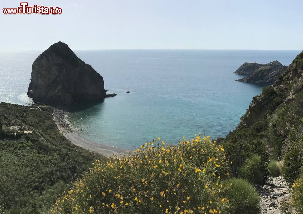 Immagine La Spiaggia di Cala del Porto a Palmarola nel Lazio