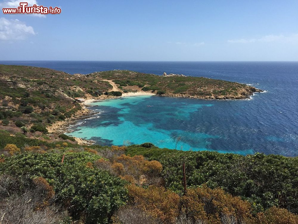 Le foto di cosa vedere e visitare a Isola dell'Asinara