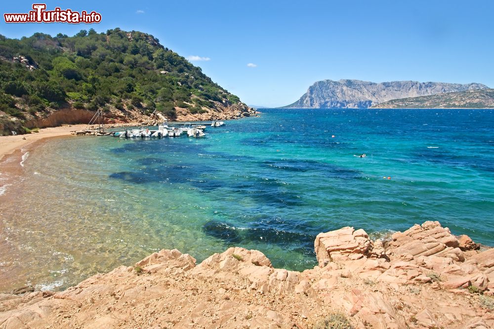 Immagine La spiaggia di Cala Suaraccia a San Teodoro in Sardegna, sullo sfondo la Tavolara