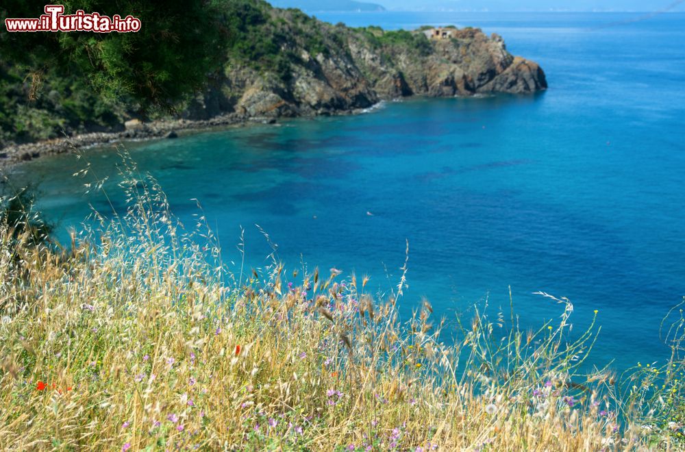 Immagine La spiaggia di Calamoresca a Piombino, provincia di Livorno, Toscana. E' una delle più spiagge cittadine della Val di Cornia, molto conosciuta e apprezzata dai turisti oltre che dai piombinesi.