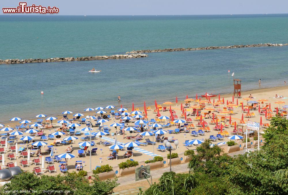 Le foto di cosa vedere e visitare a Cattolica