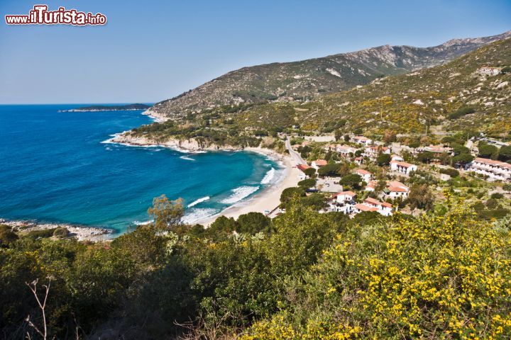 Immagine La spiaggia di Cavoli, situata sulla costa sud occidentale dell'isola d'Elba, è una delle più rinomate e frequentate fra quelle elbane. Lunga circa 300 metri, è caratterizzata da un fondo sabbioso bianco formato dallo sgretolamento della granodiorite (famiglia del granito), tipico di questa zona dell'isola. Sulla sua sinistra, lungo la costa, si trova la Grotta Azzurra, visitabile con pedalò e piccole imbarcazioni - © Luciano Mortula / Shutterstock.com