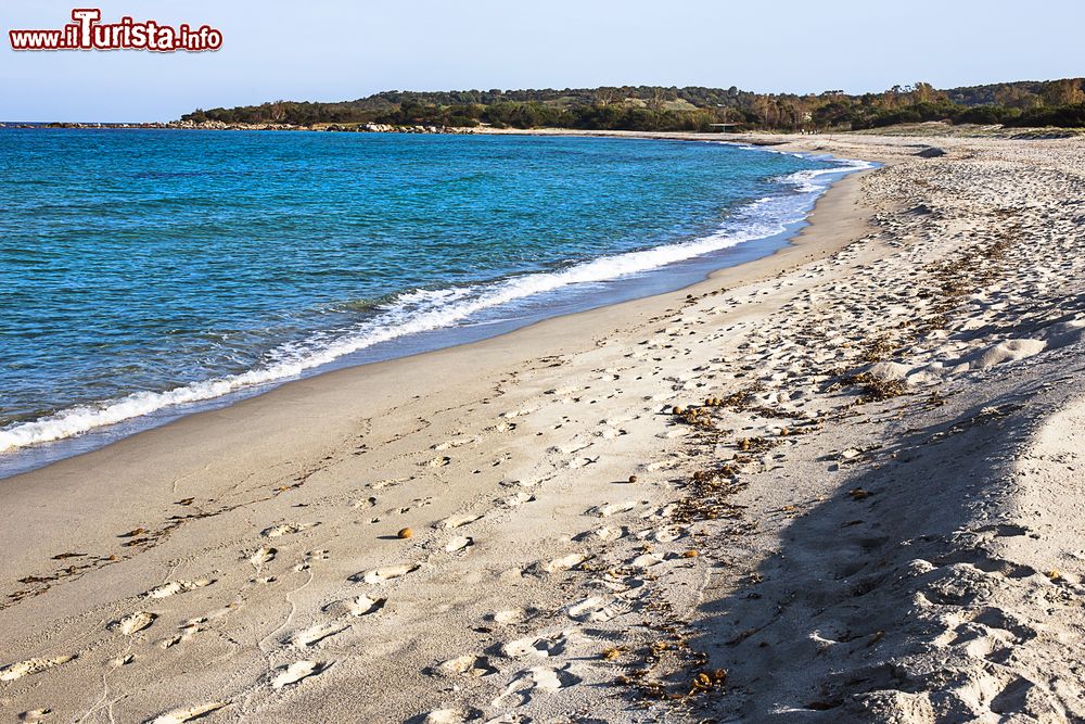 Immagine La spiaggia di Cea al tramonto vicino a Tortolì, Sardegna