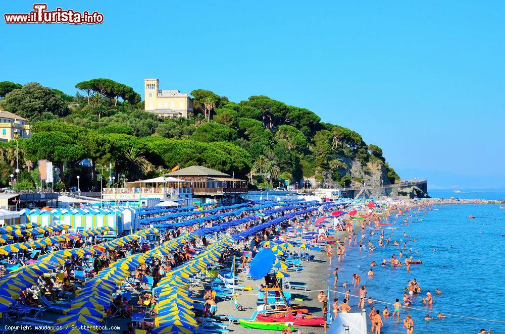 Immagine La spiaggia di Celle Ligure in estate, Liguria - © maudanros / Shutterstock.com