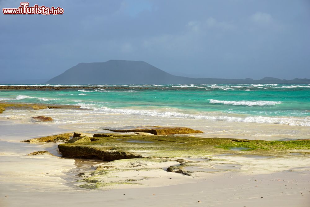 Immagine La spiaggia di Corralejo a Fuerteventura, Isole Canarie