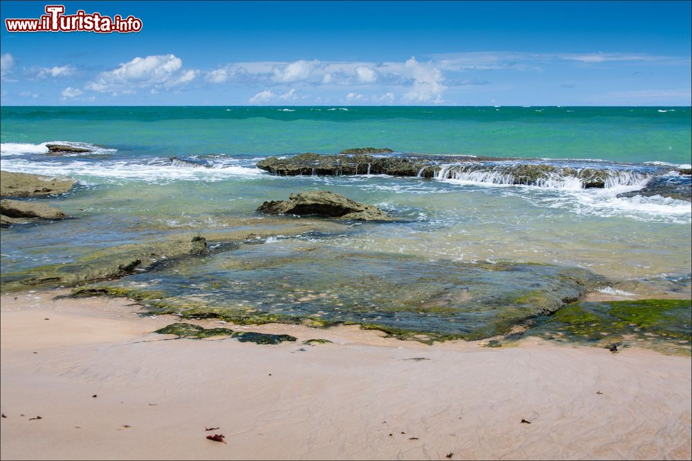 Immagine La spiaggia di Gunga nella città di Maceiò, stato di Alagoas, Brasile. Acque trasparenti con sfumature che vanno dal verde chiaro al turchese, piscine naturali e sabbia color dorato: la spiaggia è contornata da ampie macchie verdi formate da palme dei cocchi.