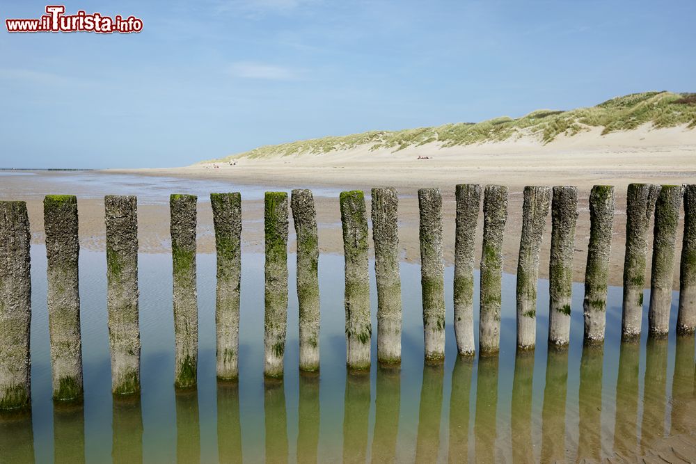 Immagine La spiaggia di Haamstede nel territorio della provincia di Zeeland, Paesi Bassi. Lungo la costa del mare del Nord si affacciano numerose spiagge più o meno attrezzate che nei mesi estivi si riempiono di turisti.